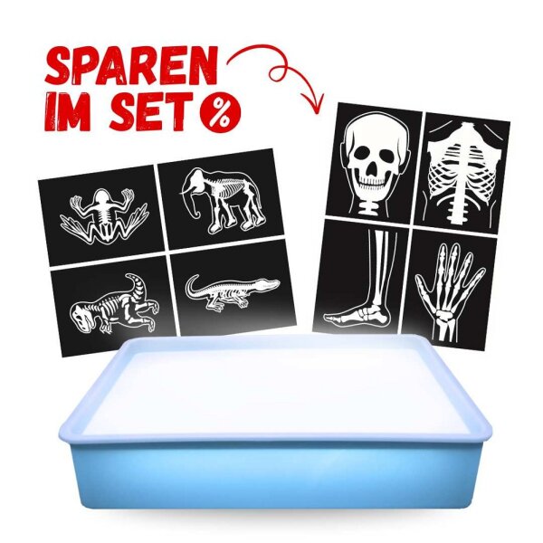 Leuchtbox mit Röntgenbildern Sparset
