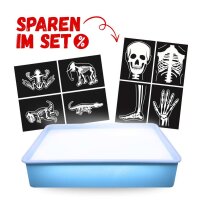 Leuchtbox mit Röntgenbildern Sparset