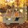 Foodtruck Outdoor im Herbstwald mit Kind