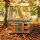 Foodtruck Outdoor im herbstwald