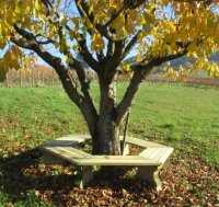 6-Eck Baumban Herbst