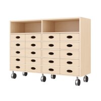 Regalschrank, 20 Materialkästen, Rollen