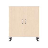 Regalschrank mit Türen, Rollen, frontal