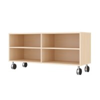 Regalschrank mit 4 Fächer, mit Rollen