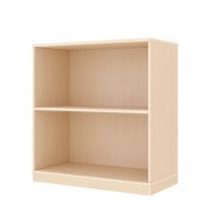 Regalschrank 79-80, 2 Fächer