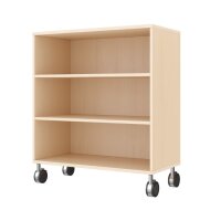 Regalschrank mit  Rollen