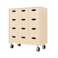 Regalschrank, 12 Materialkästen, Rollen