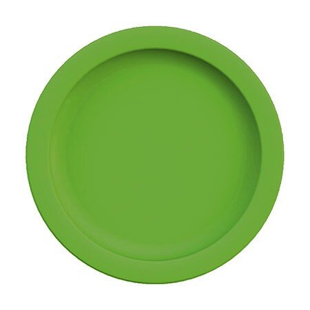 Teller flach Ø 24 cm, 293