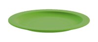 Teller flach Ø 24 cm,