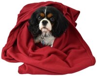 Kuscheldecke Premium Fleece