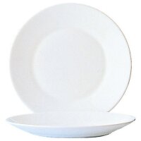 Teller flach 22,5 cm 609
