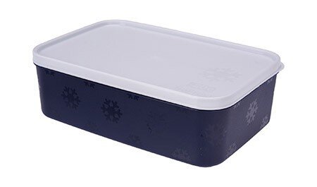 Besteckbox /Vorratsdose 1,6L 958