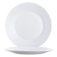 Teller flach 25cm 749