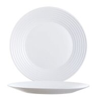Teller flach 23,5cm 120