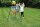 Standbasketballkorb 409