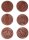 Zootierstempel 6-tlg. 628